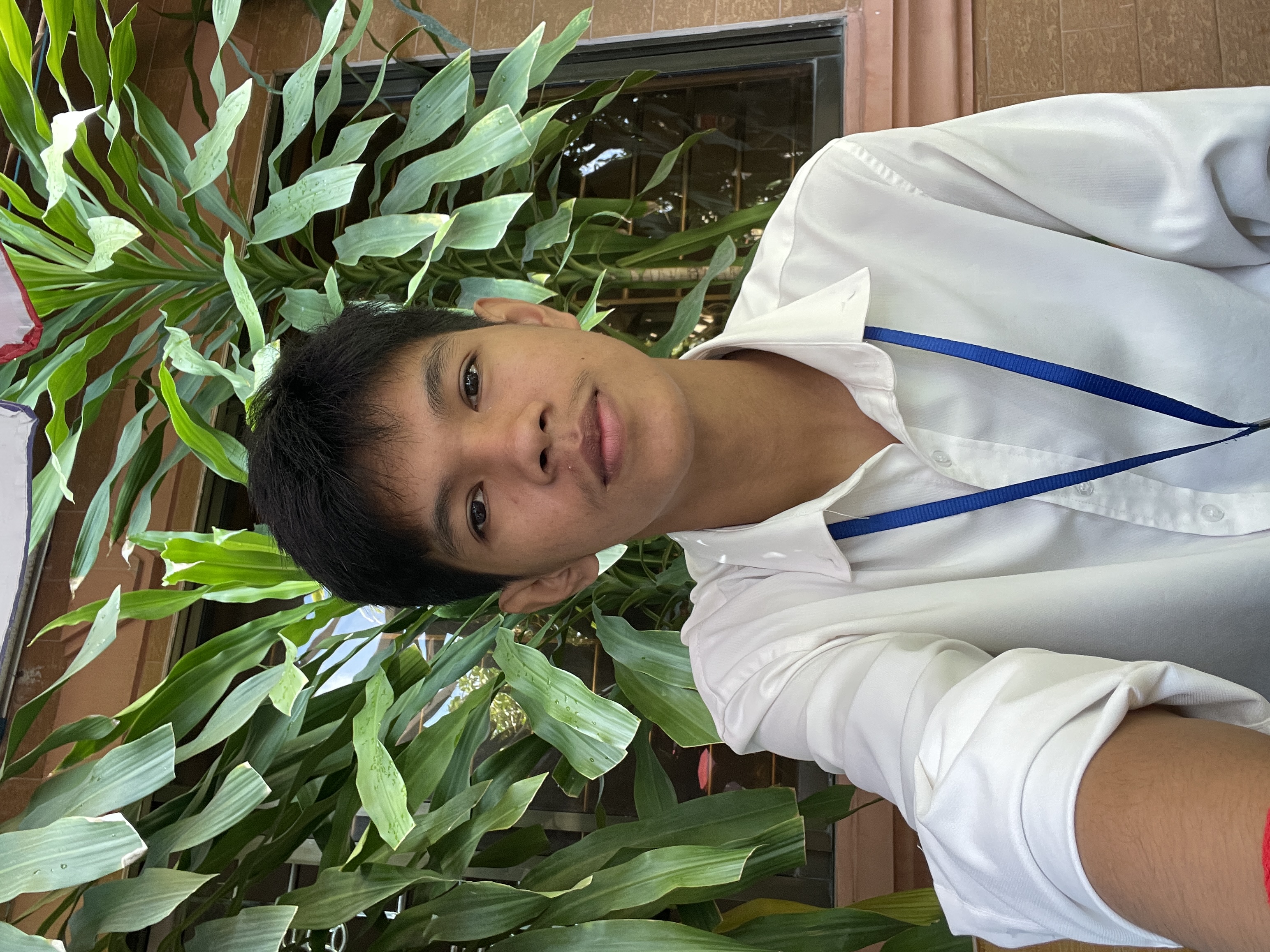 Koy Sophea